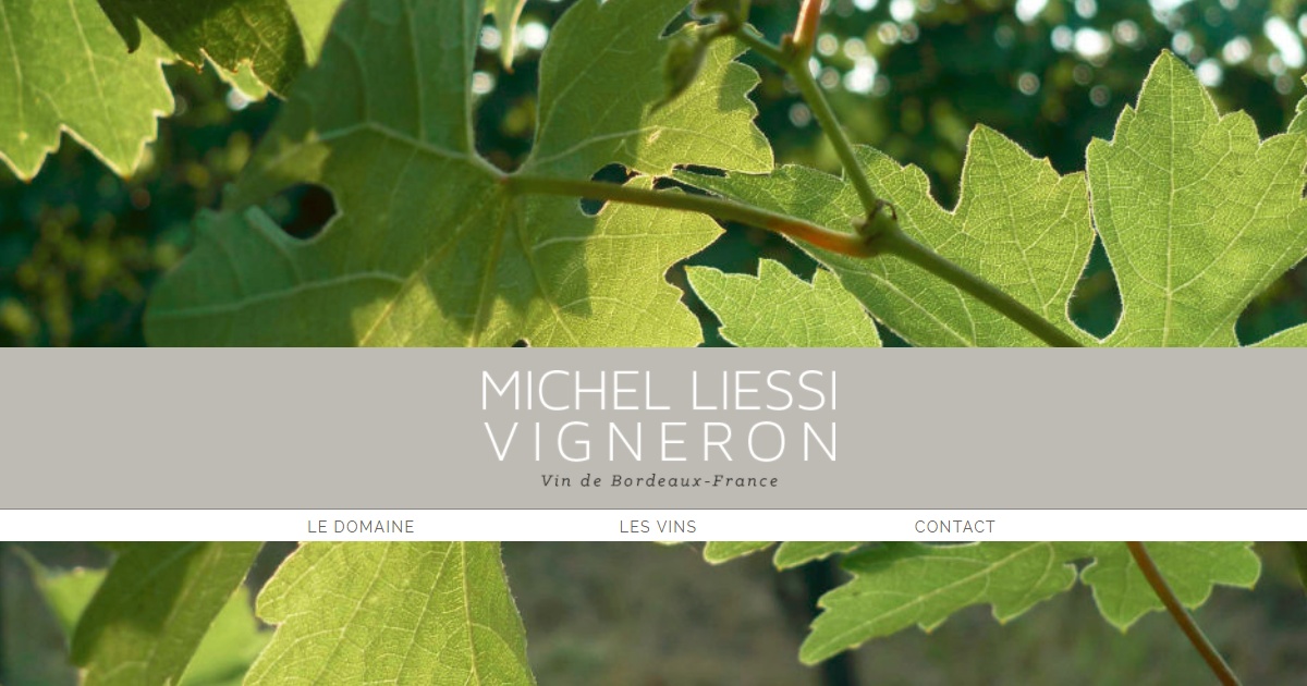 Michel Liessi Vigneron